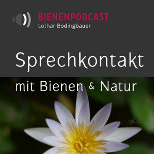 Bienengespräche – Bienenpodcast (aac)
