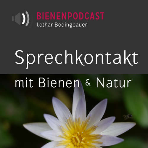 Bienengespräche – Bienenpodcast (aac)