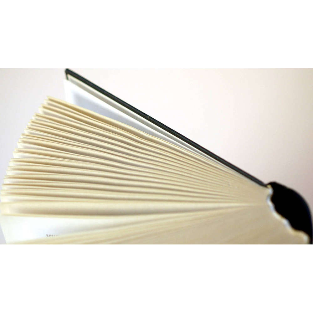 Jesmyn Ward , "Singt, ihr Lebenden und ihr Toten, singt"