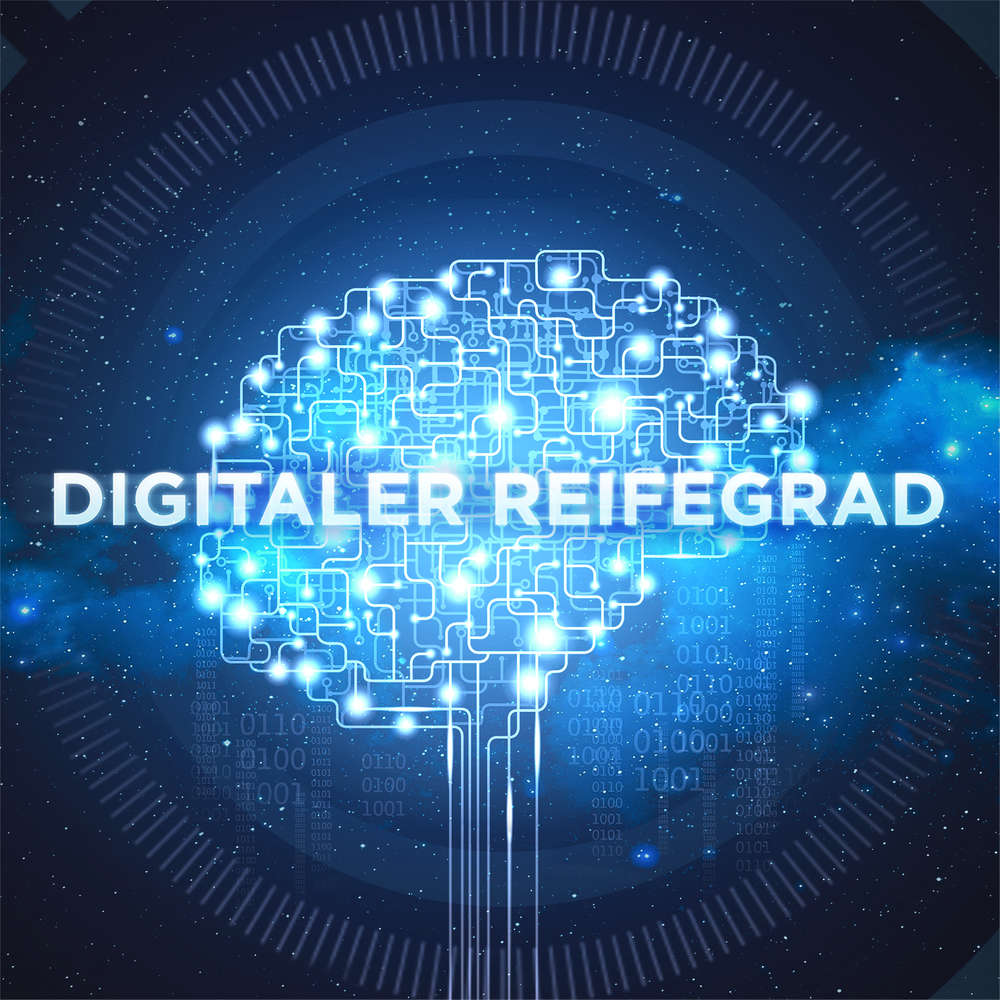 Welchen digitalen Reifegrad hat Dein Unternehmen?