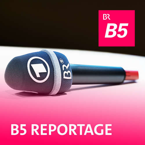 B5 Reportage