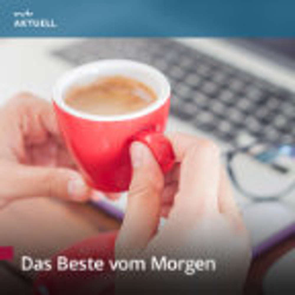 Die Windrad-Kletterer aus Sachsen