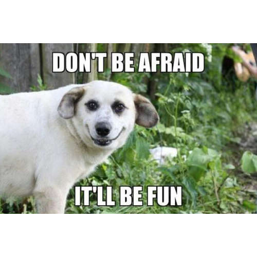 Angst Online // #Mittelfingerspitzengefühl: Folge 31