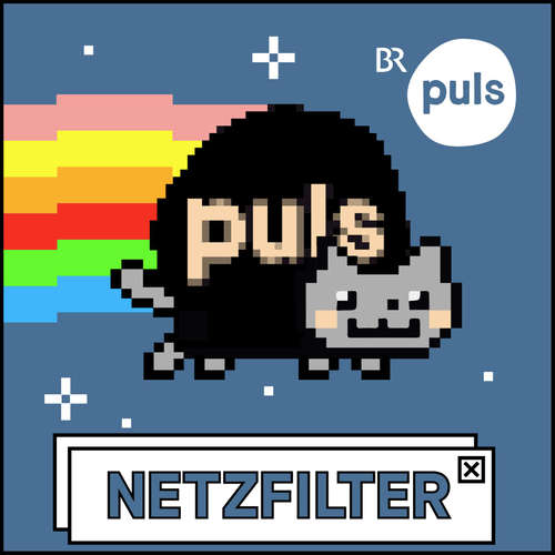 Netzfilter
