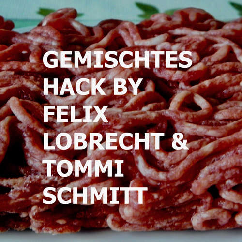 Gemischtes Hack