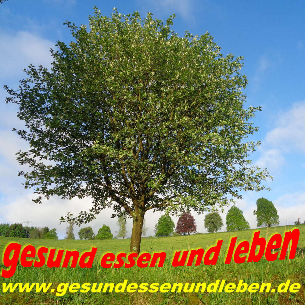 048 Eigenverantwortung