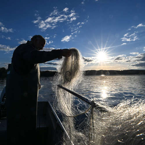 Wie nachhaltig haben unsere Vorfahren gewirtschaftet, Frau Kehnel?