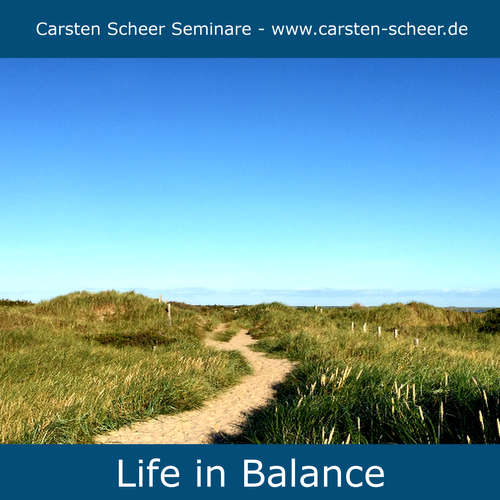 Integratives Institut - Carsten Scheer