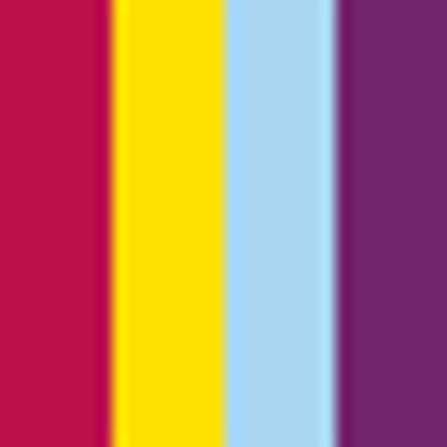 Slow Science - Wissenschaft langsam erzählt