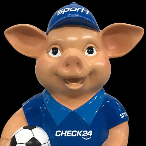 Der SPORT1 Doppelpass