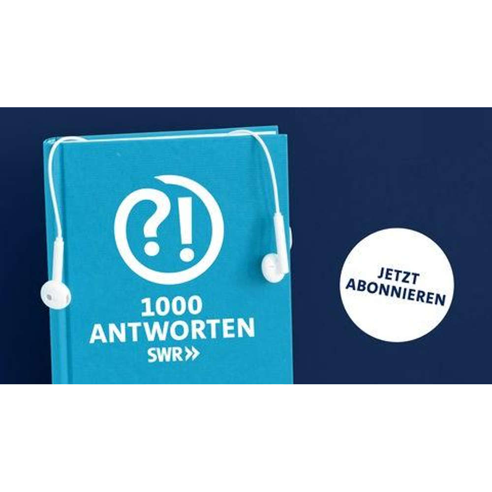 Warum sind Insekten so erfolgreich? | Taxonomie