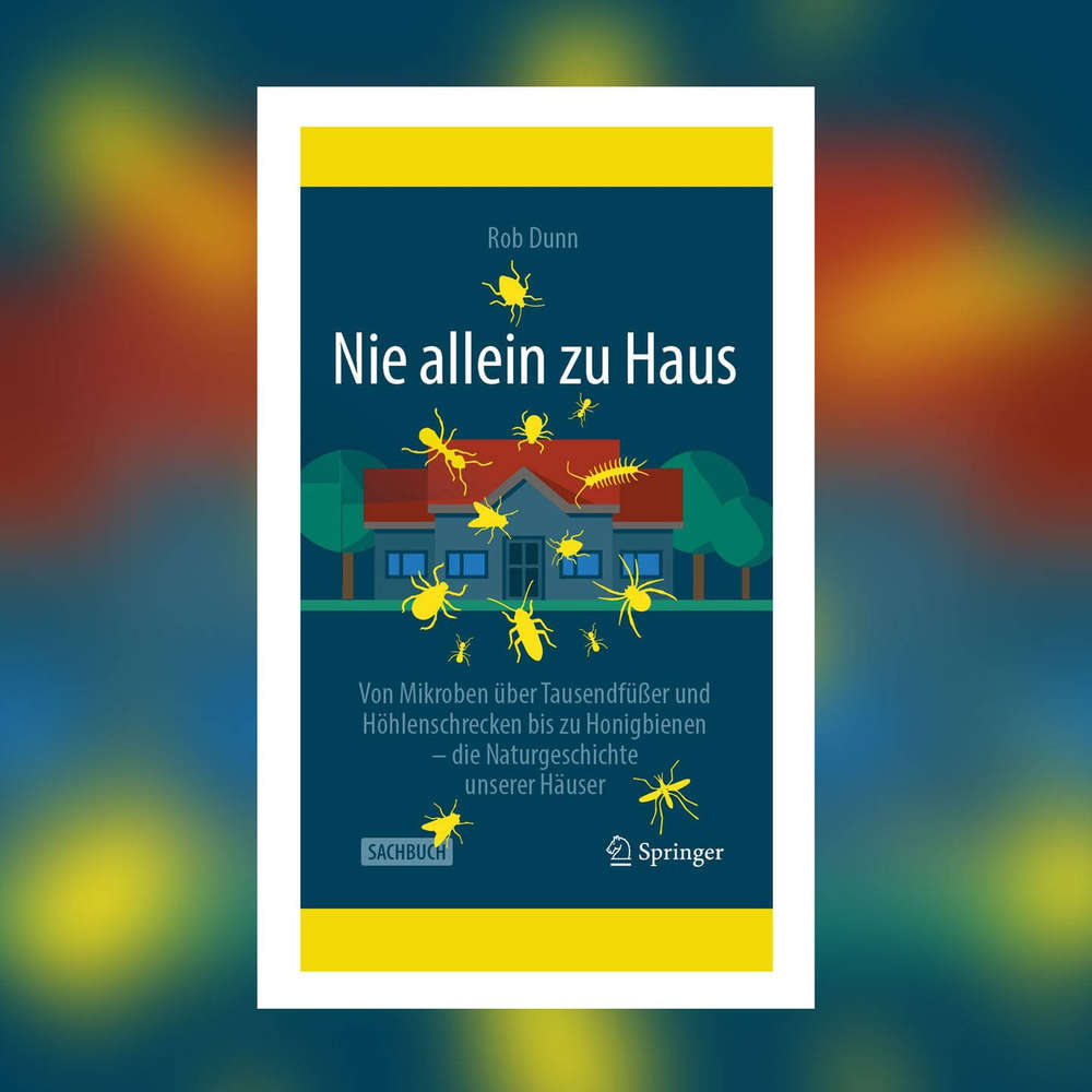 Eine Kleine Orgie Zwischen Lesben Ist Einfach Nicht So Schlecht Eine Kleine Orgie Zwischen Lesben Ist Einfach Nicht So Schlecht