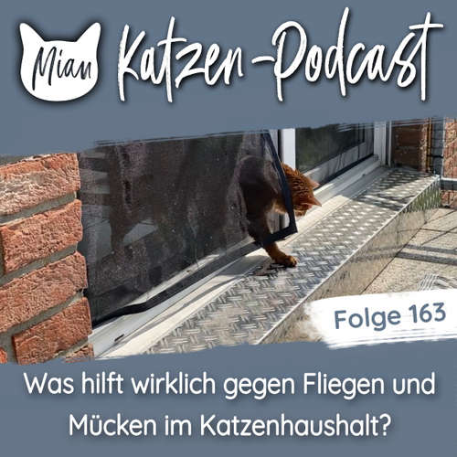 Was hilft wirklich gegen Fliegen und Mücken im Katzenhaushalt? | MKP163
