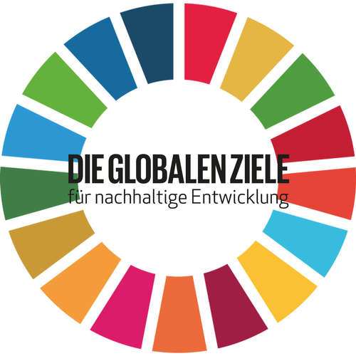 Wie inklusiv sind die Ziele für nachhaltige Entwicklung